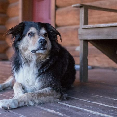 Wells Gray Guest Ranch Hotel Clearwater Kültér fotó