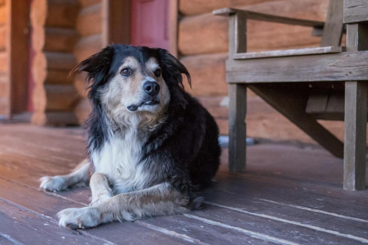 Wells Gray Guest Ranch Hotel Clearwater Kültér fotó