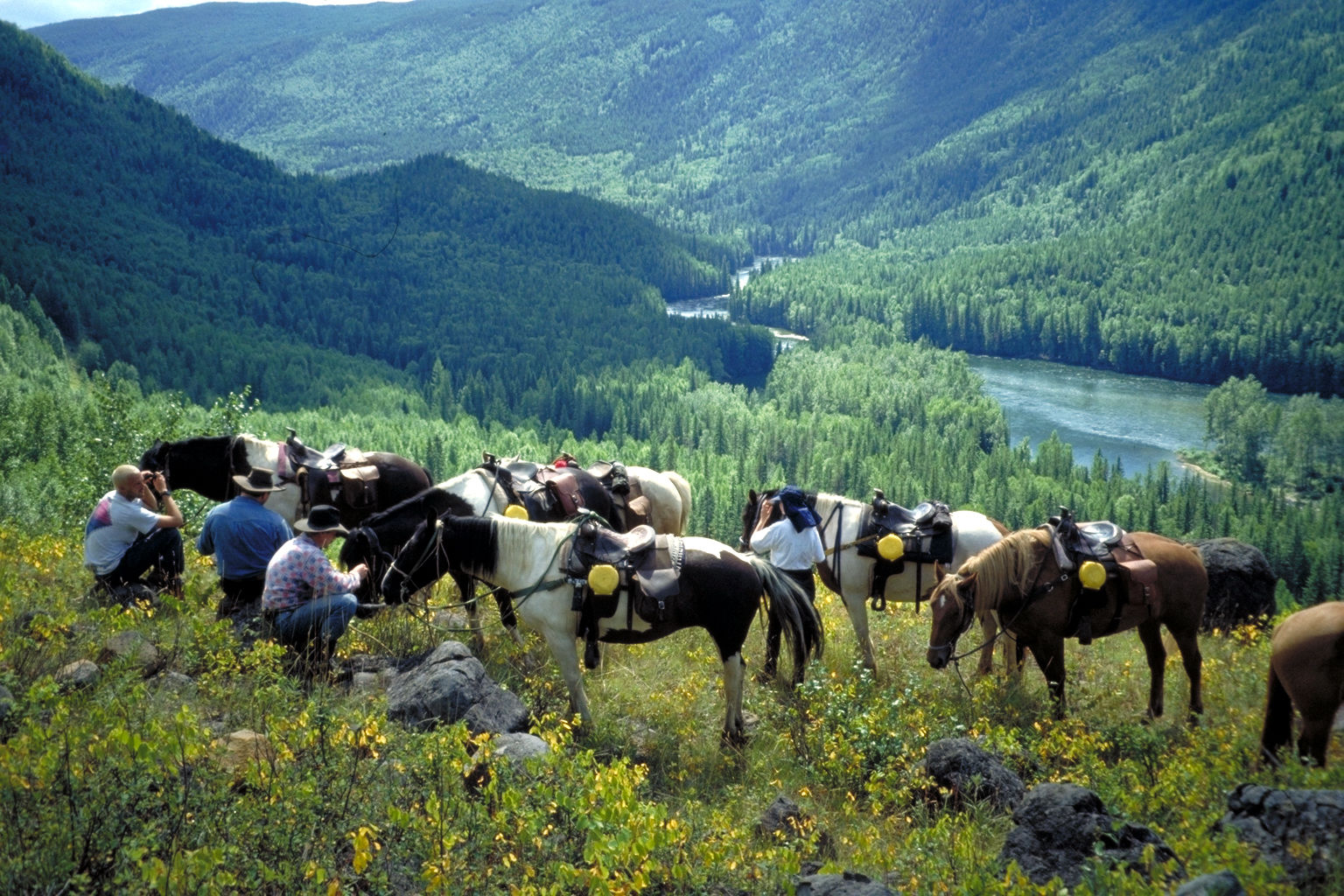 Wells Gray Guest Ranch Hotel Clearwater Kültér fotó