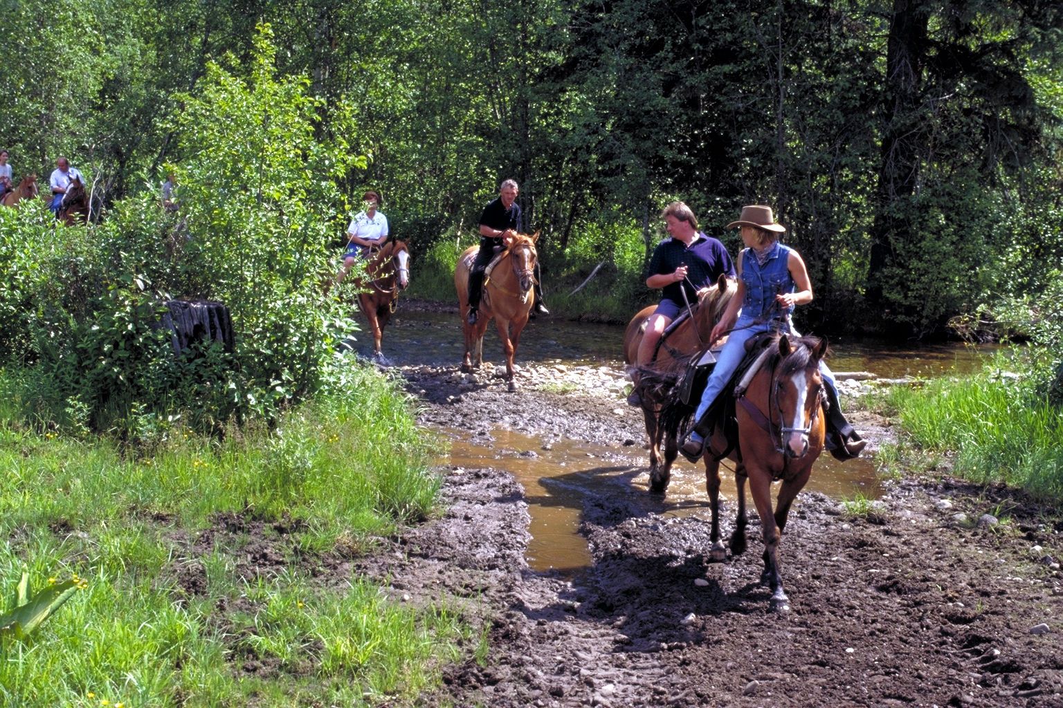 Wells Gray Guest Ranch Hotel Clearwater Kültér fotó