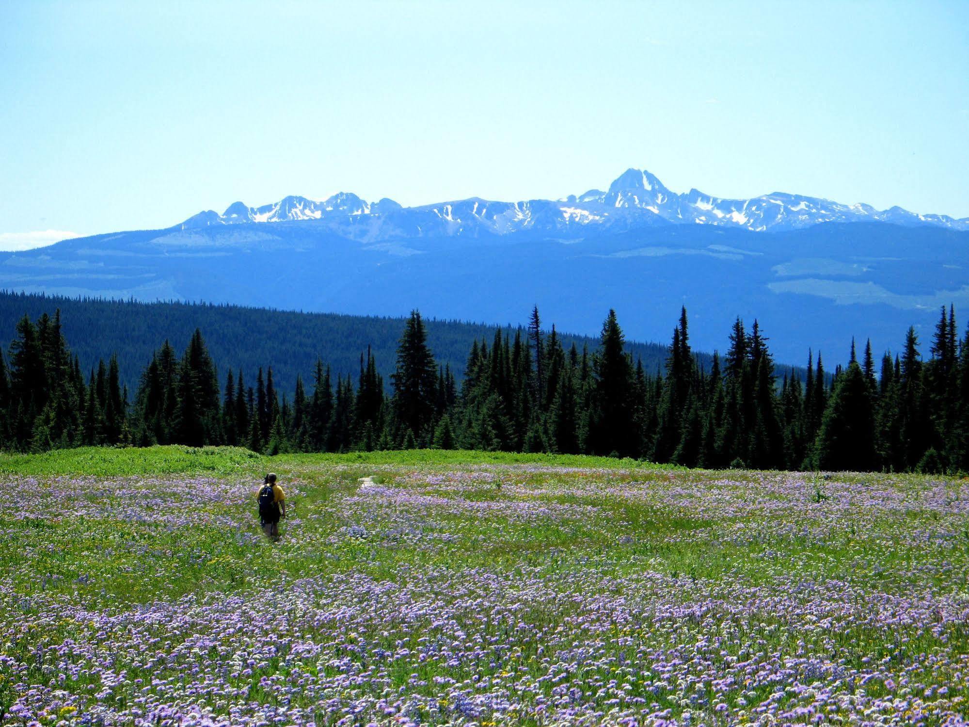 Wells Gray Guest Ranch Hotel Clearwater Kültér fotó